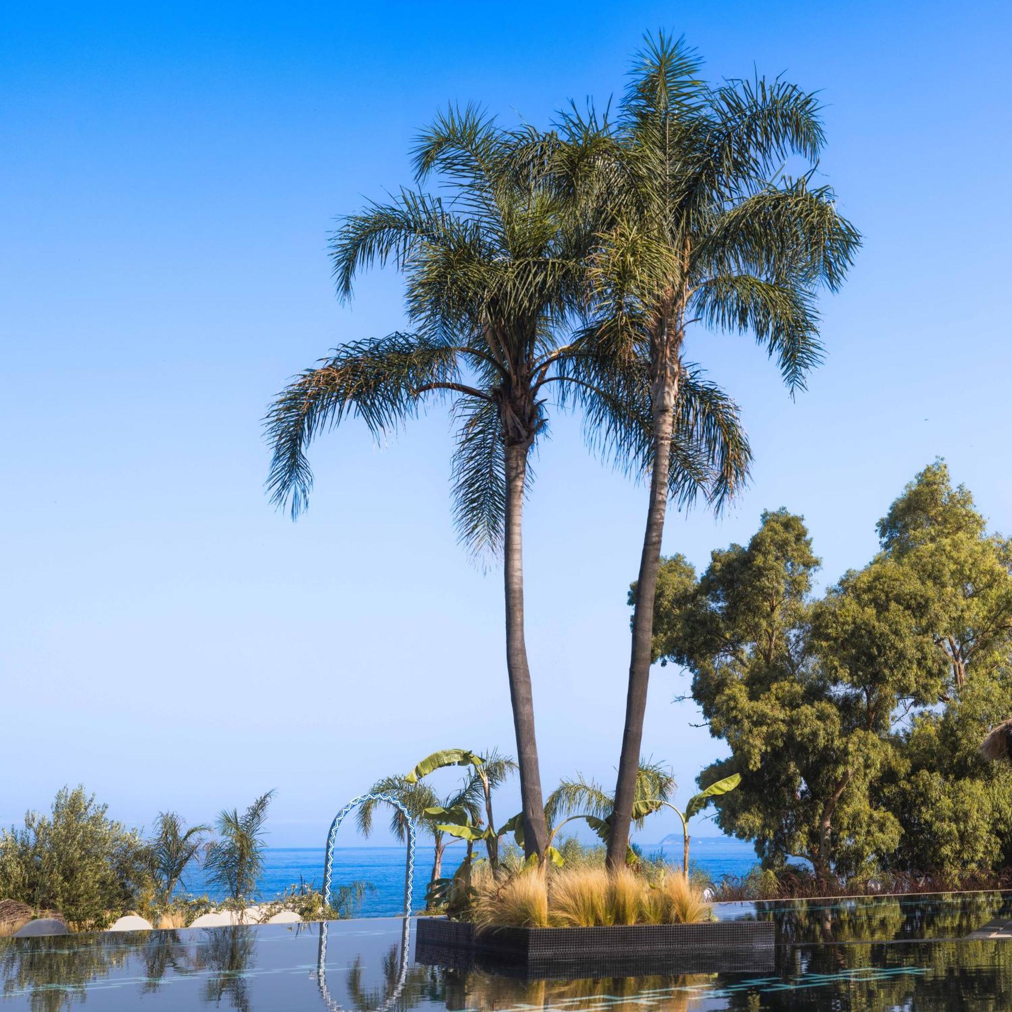 Maritim Marina Bay Resort Spa & Casino Adult Friendly Vlorë Εξωτερικό φωτογραφία A. columnaris